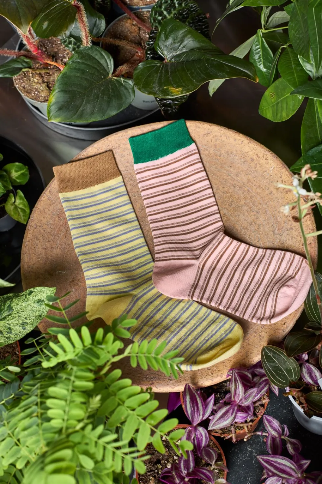 Black Colour Bcliri Sock 8510 | Damstrumpor & Trikåer