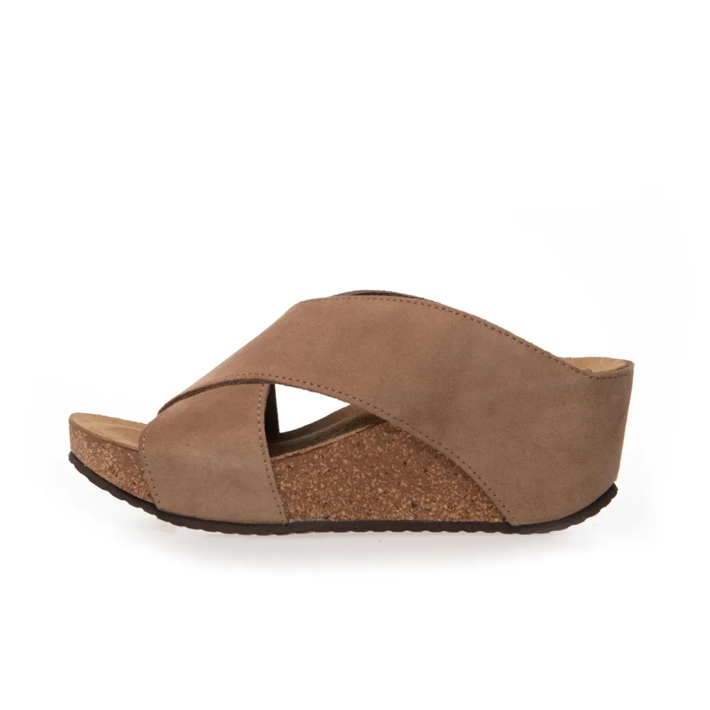Csfrances 23 Suede CS7495