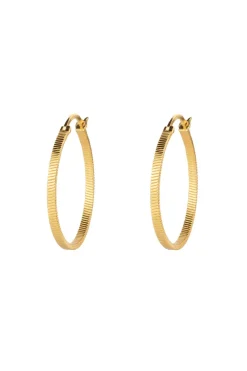 Hvfortune Teller Creol Earrings L VJ078-UEG-L