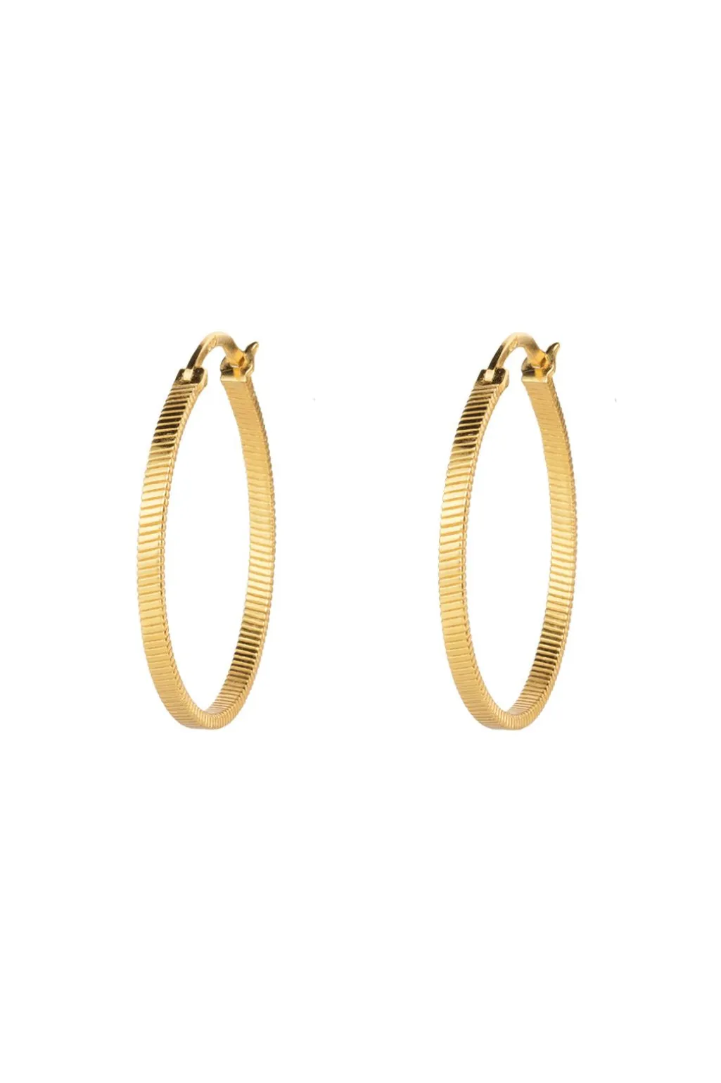 Hvfortune Teller Creol Earrings L VJ078-UEG-L