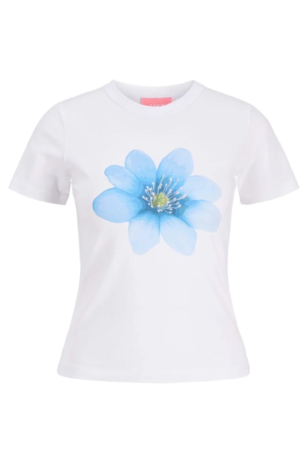 Jjxx Jxgigi tr Print Tee | T-Shirts & Toppar