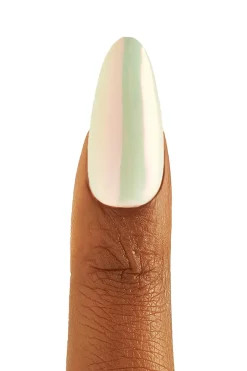 Lmstardust Liquid Nail Powder LNP005