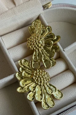 Mmfiona Ørering