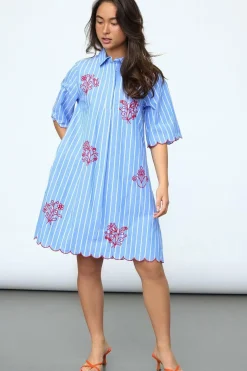 Spedina-Dr2 19983