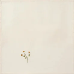 Ib Laursen Stofserviet Flora M/marguerit Butter Cream | Saker Till Köket