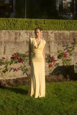 Ttjonquil Dress